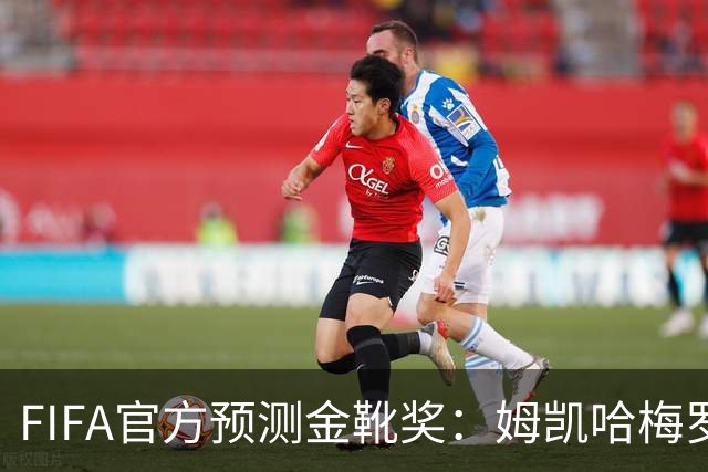 FIFA官方预测金靴奖：姆凯哈梅罗登 西班牙巴西各2席